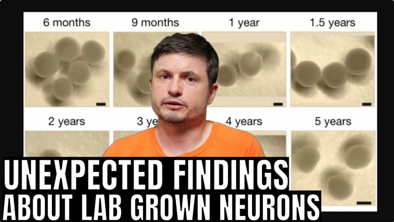 Lab-Grown Human Brain Cells Can Sense Time and Direction