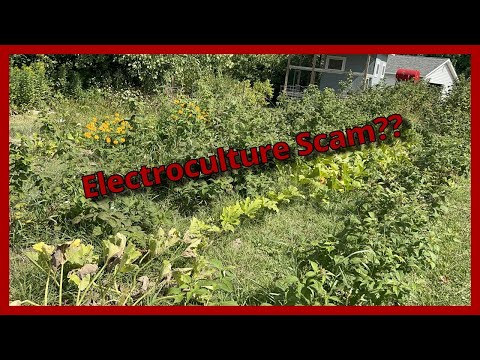 Electroculture Trial Results