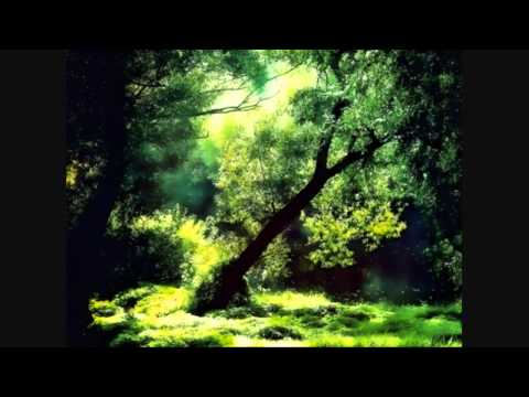 Michael Maas - No Borderlines