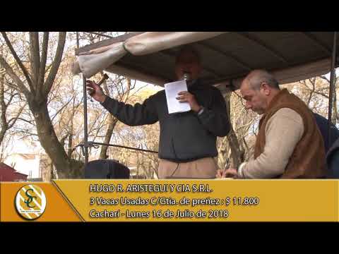 16-07-18 Venta de Vientres - Hugo R. Aristegui y Cía. S.R.L. - Cacharí