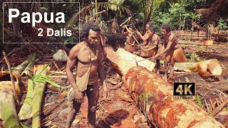 Ekspedicija pas Papua kanibalus, 2 Dalis. Šokiruojanti savaitė gyvenant su gentim džiunglių namelyje
