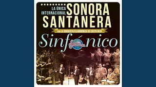 ¿Dónde Estas Yolanda?