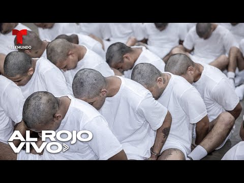 Venezolanos deportados por EE.UU. a El Salvador llegan a Venezuela tras acuerdo con Maduro
