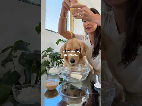 Three ingredient dog ice cream ✨