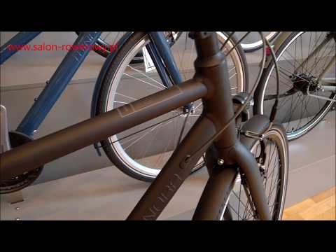 rower winora flitzer szary 2019 www.salon-rowerowy.pl