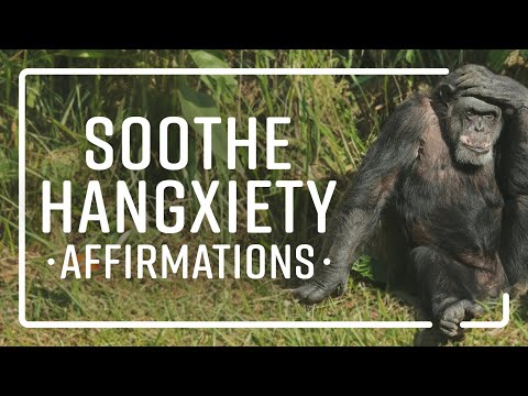 Hangxiety Relief 😵‍💫 🔜 😊 10 Minute Calming Affirmations to Soothe a Hangover