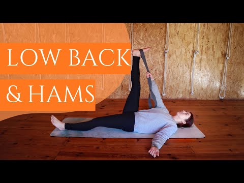 40-min Yin Yoga Class Lower Back || Deep Stretch Yin for Back & Hamstring Stretch & Release