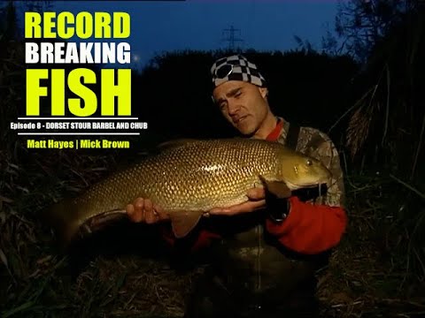 Matt Hayes | Mick Brown |Record Breaking Fish | Episode 8  Dorset Stour | Big Chub and Barbel