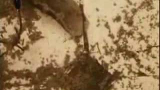 Asa Nisi Masa Band - Agua Sucia