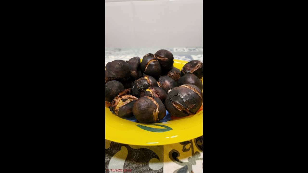 Watch #Shorts Castañas ASADAS en la barbacoa 🌰🌰🌰🔥 Now #Shorts Castañas ASADAS en la barbacoa 🌰🌰🌰🔥