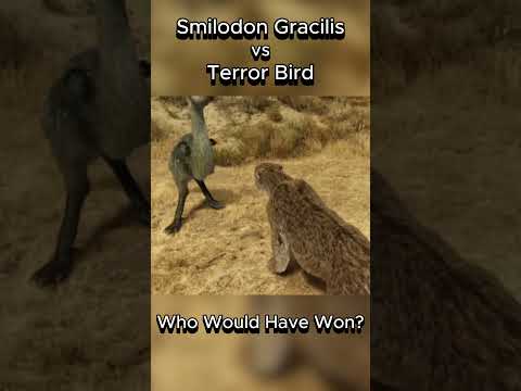 Smilodon Gracilis vs Terror Bird #smilodon #terrorbird #fight