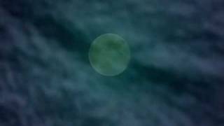 Bill Nelson - Night Tides