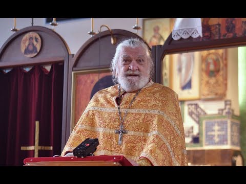 Prota VOJISLAV BILBIJA, 31. okt 2021. sv Luka, Roterdam, (Vesna Biorac)