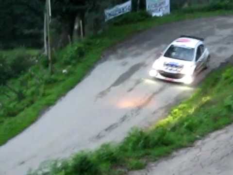 Rally 111 minuti 2011 Cogo -Pieri Peugeot 207 S2000