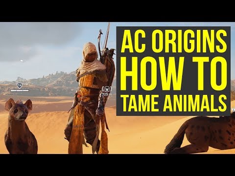 Assassin's Creed Origins ANIMAL TAMING Gameplay (AC Origins Gameplay - Assassin's Creed Origins tips Video