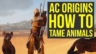 Assassin's Creed Origins ANIMAL TAMING Gameplay (AC Origins Gameplay - Assassin's Creed Origins tips
