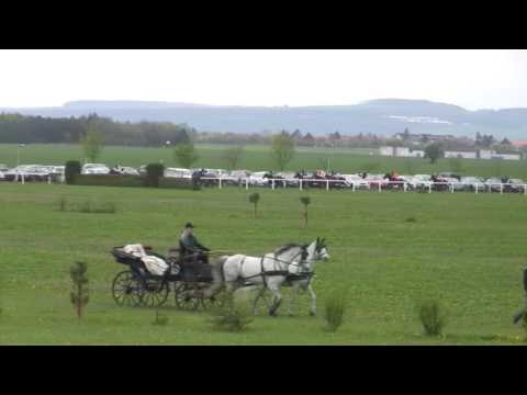 BR, 22. 4. 2017, 1. dostih - Cen Letiště Brno - memoriál Jiřího Císaře