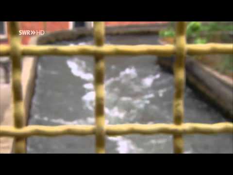 made in Südwest - Die Adern der BASF