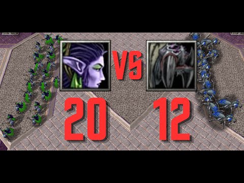 20 Archer VS 12 Crypt Fiend - Unit battle Warcraft III