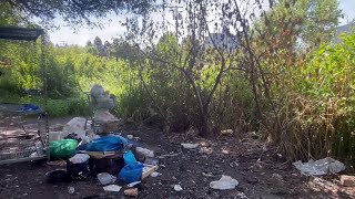 'It's shocking': Homeless camps clear trees from protected wildlife area in North Cowichan