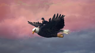 NEEDSHES - You Make Me Feel (Music Video)