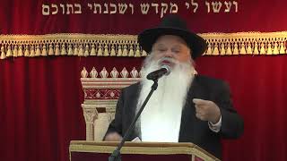 ברית קודש קודשים | סדרת קדושת האדם | הרב דניאל זר