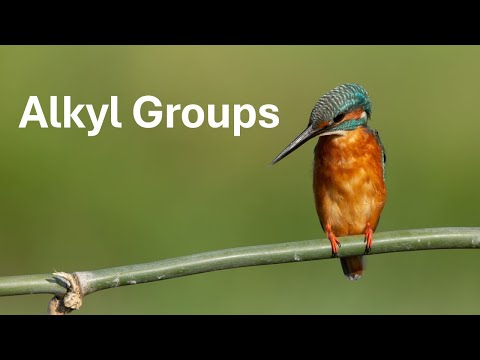 Alkyl Groups Explained