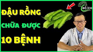10 Benefits of Winged Beans That Can Cure 10 Most Common Diseases – Useful Health Channel