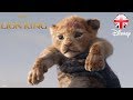THE LION KING | 2019 Live Action New Trailer | Official Disney UK