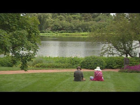 How nature can nurture your mental health