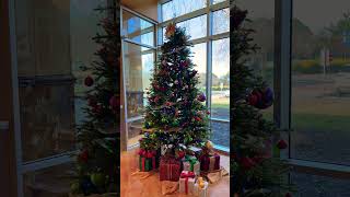 MERRY CHRISTMAS! #christmas2024 #happyhoildays  #2024