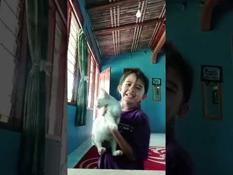 bernyanyi dengan kucing tercinta.. #Dj aiya susanti bos#