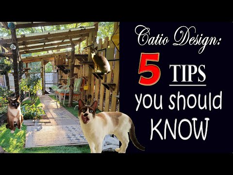 DIY Cat Enclosure - TIPS for Success! - Start here 😻