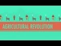 The Agricultural Revolution: Crash Course World ...