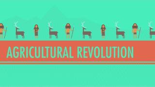 CCWH1: The Agricultural Revolution