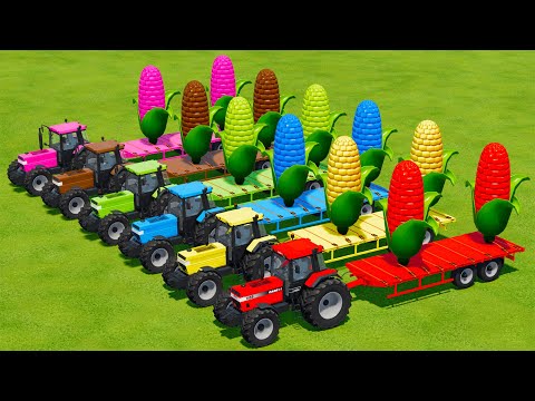 LOAD & TRANSPORT GIANT CORN WITH CASE TRACTORS - Farming Simulator 22