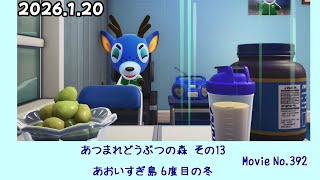 【あつまれどうぶつの森その13】あおいすぎ島 6度目の冬