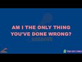 Am I The Only Thing That You've Done Wrong · Lee Ann Womack Lyrics