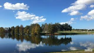 Harry Chapin - Pigeon Run