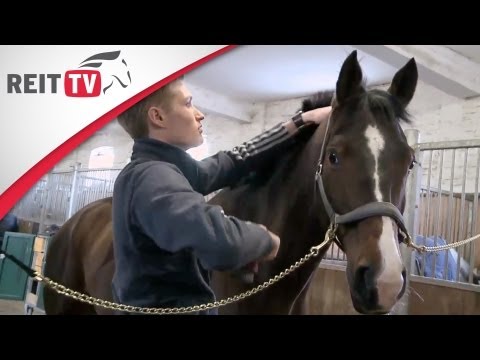 Careers related to horses | Riding in the German Armed Forces
