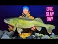 Video Thumbnail for Roadside Walleye Slay Day (Joining The 30-Inch-Club)