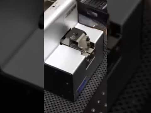 Screw Feeders