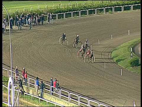 Trotto 18/09/2016 - minitrotter