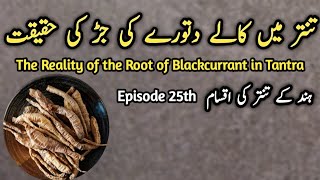 Download lagu Tanter main Kaaly dadhuray ki jar ki haqiqat |The reality of the root of blackcurrant in Tantra mp3
