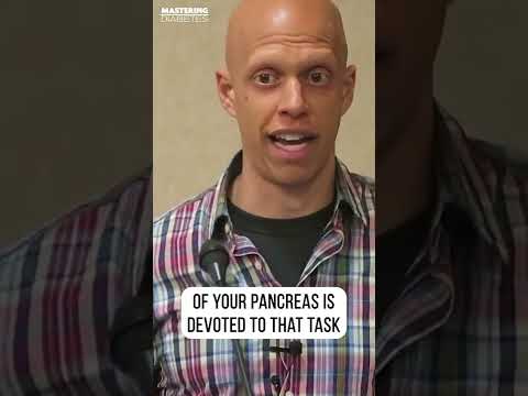 💥What Is the Function of the Pancreas? 🧐 #shorts