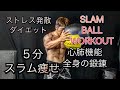 ボールをスラム‼痩せながら身体強化[5minute Slamball Workout]