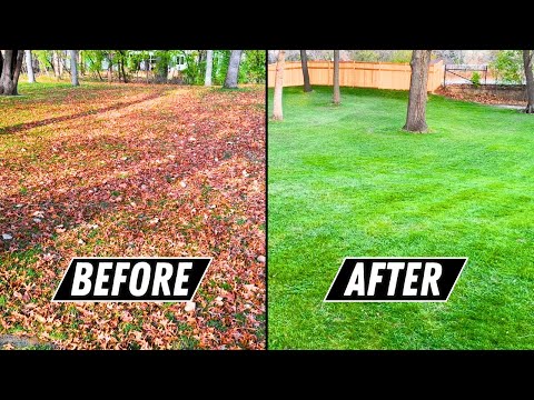 How to Beat LEAVES in the Fall (Leaf Cleanup on HUGE Yard Made EASY)
