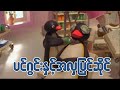 ပင်ဂွင်းနှင့်အလှပြင်ဆိုင် Pampering Pingu Ep144 Ki