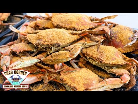 How To Crack a Crab THE RIGHT WAYCrab Corner