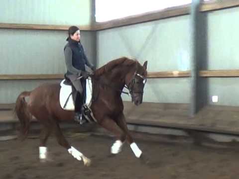 Wallach von L'Espoir Feb 2015